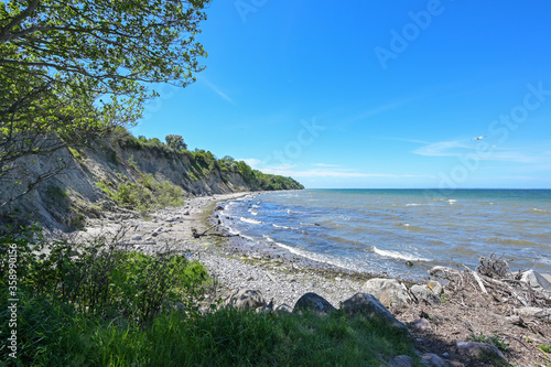 Fototapeta Naklejka Na Ścianę i Meble -  Beach with driftwood, stones and sand in front of the steep coast at the Baltic Sea, beautiful landscape for leisure activities, blue sky with copy space