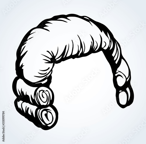Vintage french wig. Vector drawing