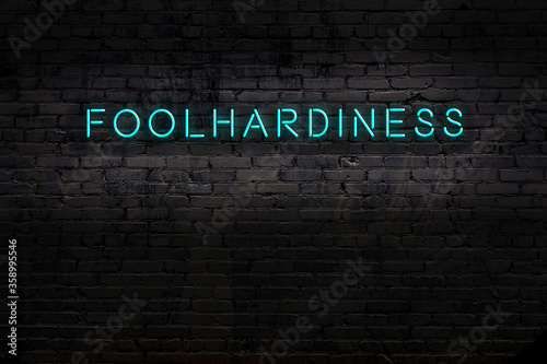 Night view of neon sign on brick wall with inscription foolhardiness photo