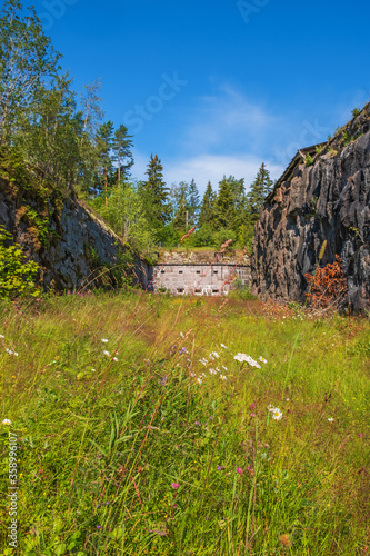 Blooming meadow in a moat to an old fortress