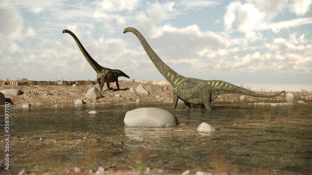 Fototapeta premium 3d rendering of the walking and grazing mamenchisaurus dinosaur
