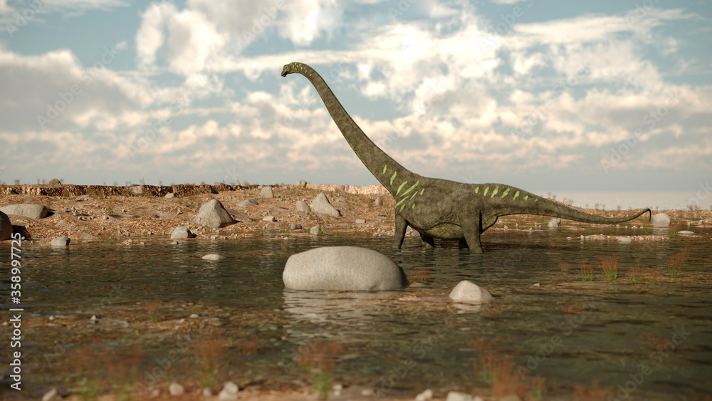 Fototapeta premium 3d rendering of the walking and grazing mamenchisaurus dinosaur