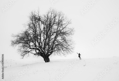 connection between a tree and a happy human © Djforest