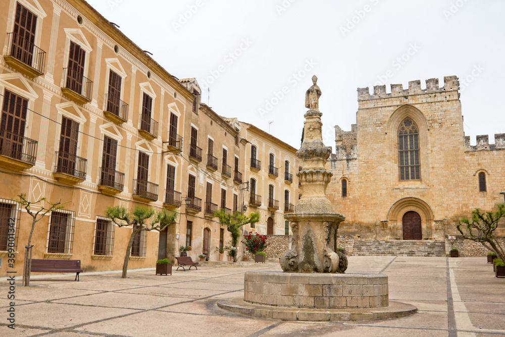 Saint Bernat Calbo square in the Royal Monastery of Santa Maria de Santes Creus (Catalonia, Spain)