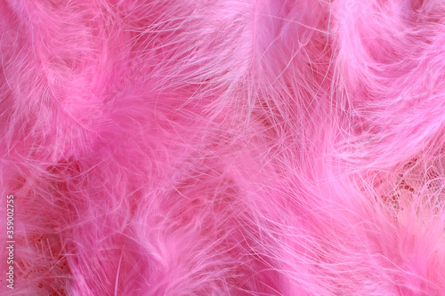Pink boa background of purple feathers in art deco retro burlesque carnival © Olga