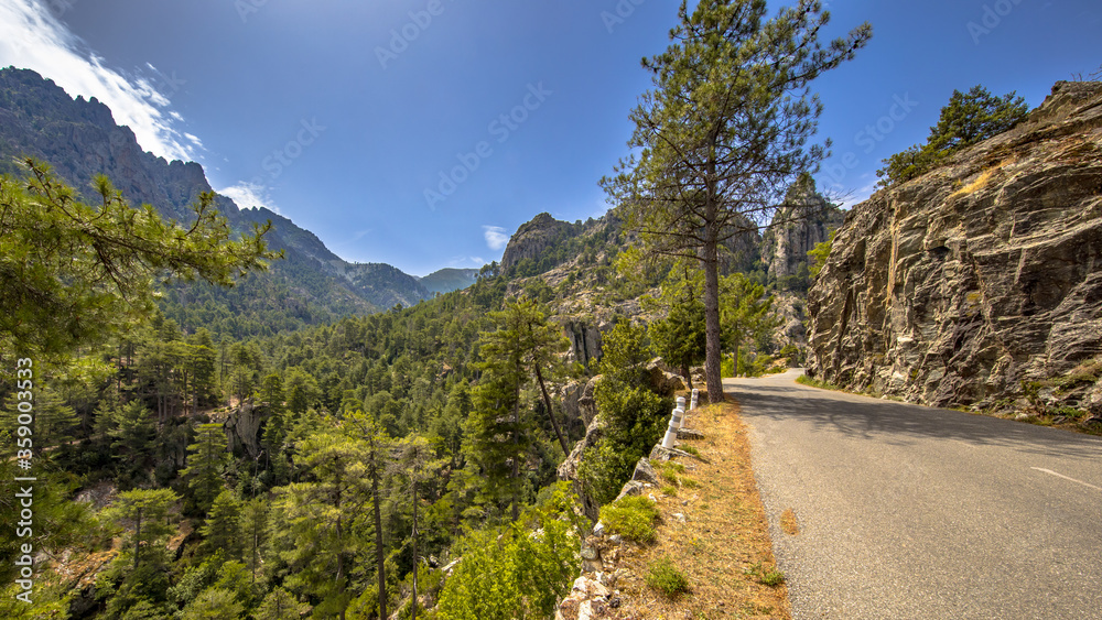 Road through Restonica gorge