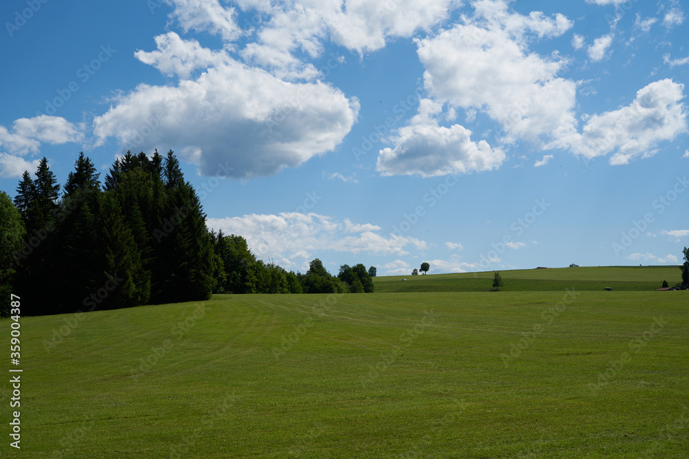 Idyllic landscape in the Alps with fresh green meadows and blooming flowers and snowcapped mountain tops in the background, farmland Idyllic landscape in the Alps with fresh green meadows and blooming flowers and snowcapped mountain tops in the background, farmland