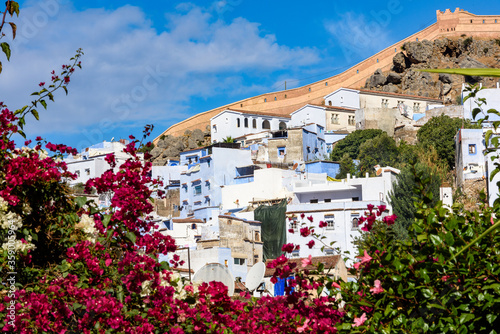 Obraz na płótnie It's Chefchaouen, small town in northwest Morocco famous by its blue buildings w salonie
