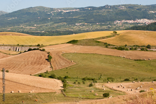 landscape with cultivated fields on the hills of Conza della Campania and Cairano. Campania  Irpinia  Avellino  Italy. 