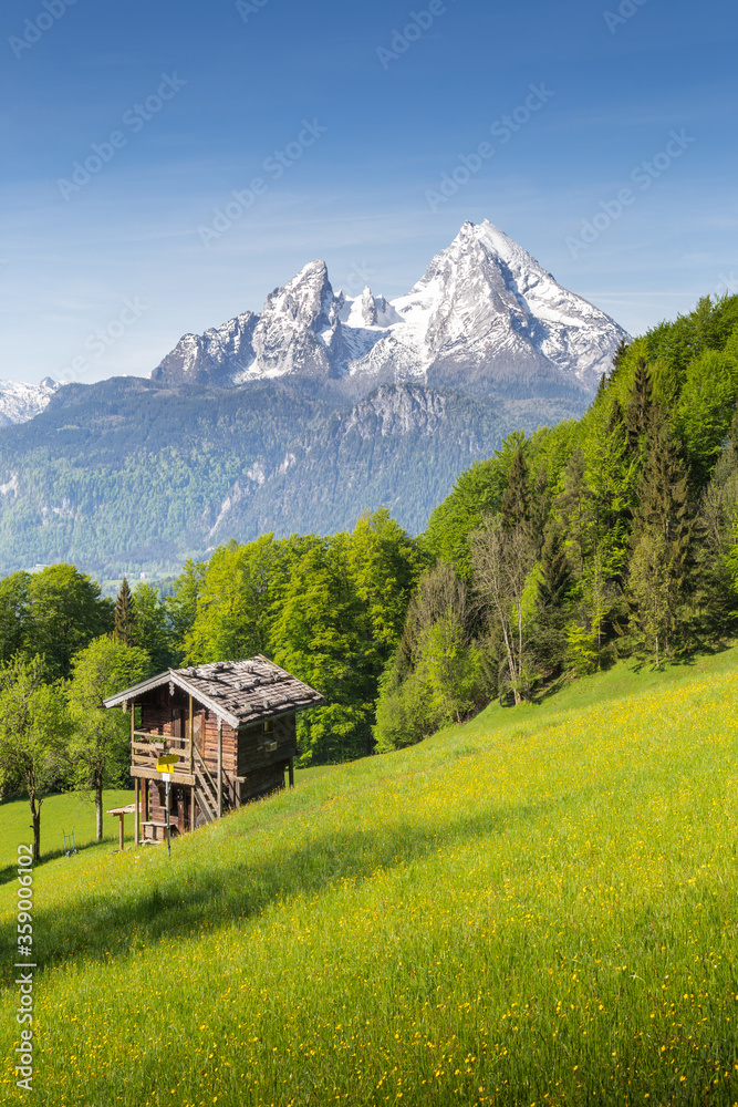 Summer mountain scenery in the Alps with blooming meadows and traditional mountain cabin