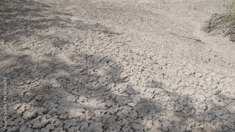 Walking over dry crackled soil slow motion video Walking over dry crackled soil slow motion video