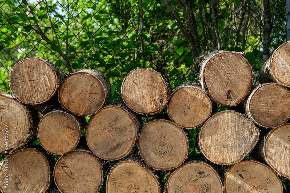 Birch logs for harvesting firewood and fireplace inserts are stacked in slices on the front side, against the background of bushes with green leaves. Birch logs for harvesting firewood and fireplace inserts are stacked in slices on the front side, against the background of bushes with green leaves.