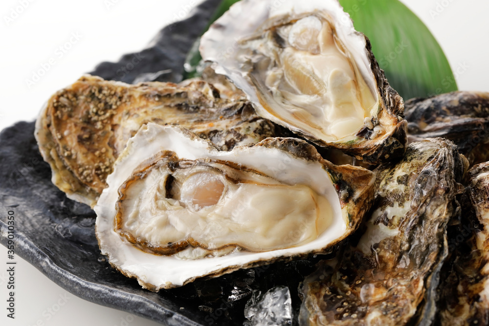 生牡蠣の盛り合わせ(北海道厚岸産) Oyster platter 生牡蠣の盛り合わせ(北海道厚岸産) Oyster platter