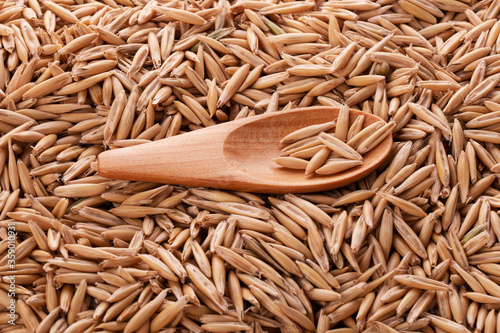 oat grains in a wooden spoon on the background of scattered oat grains