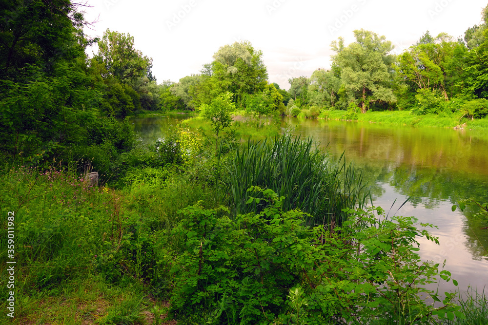 Fototapeta premium Two rivers merge into one common river in beautiful nature