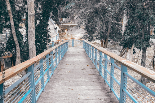 walkway pathway footbridge in park