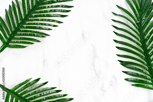 Tropical green leaf composed as a frame on white marble stone background with content space © Екатерина Вундер