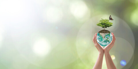 World environment day with tree planting and green planet earth on volunteering protection hands for go green and saving ecology, eco-friendly concept. Element of the image furnished by NASA