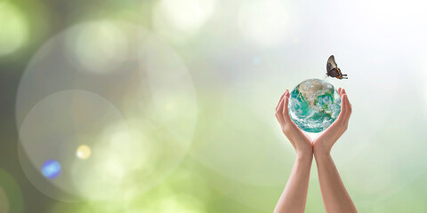 World environment day with tree planting and green planet earth on volunteering protection hands for go green and saving ecology, eco-friendly concept. Element of the image furnished by NASA