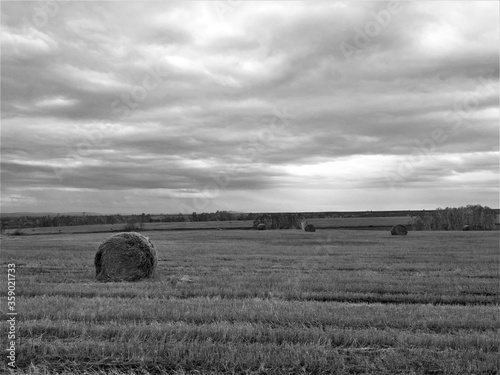 black and white landscape of hay bales in the field