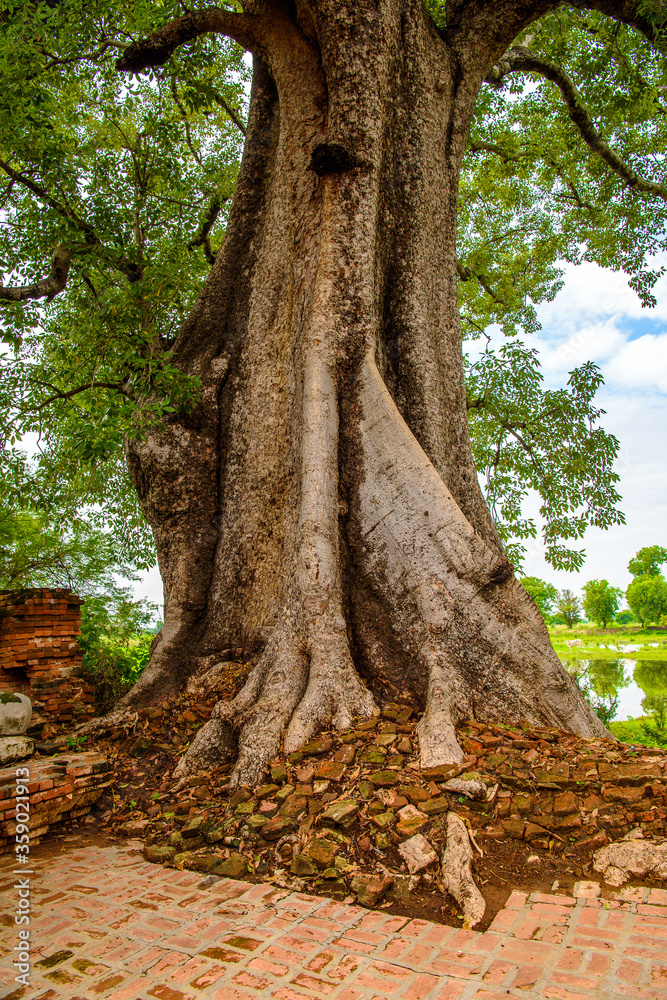 Fototapeta premium It's Yadana Hsemee Pagoda, Inwa, Mandalay Region, Burma. One of the attractions for tourists