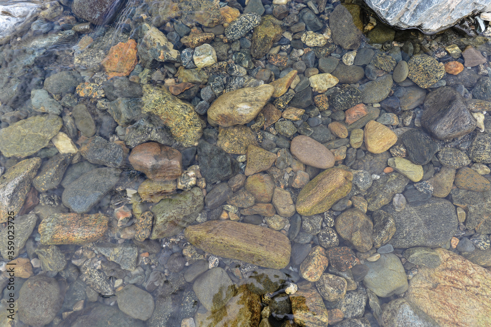 The pebbly river bottom. The pebbly river bottom.