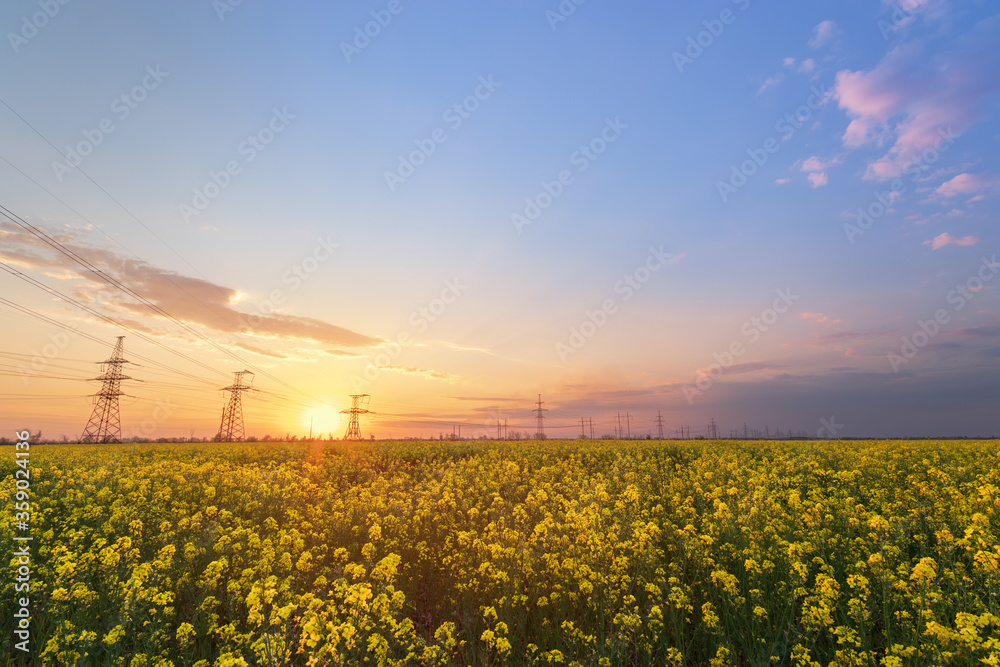 bright colorful sunset canola field power lines on sunset background