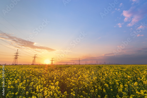 bright colorful sunset canola field power lines on sunset background