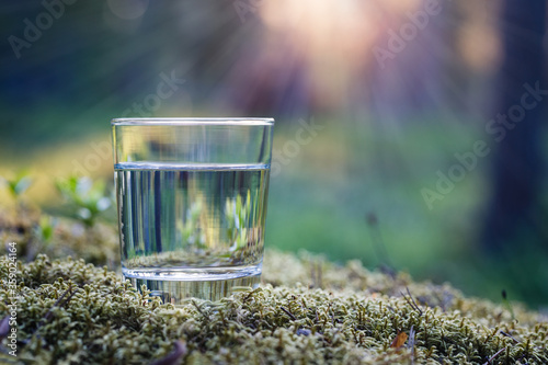 A glass of water on a moss covered stone. The forest background is blurred.