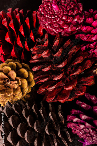 Pine cones Christmas decoration isolated