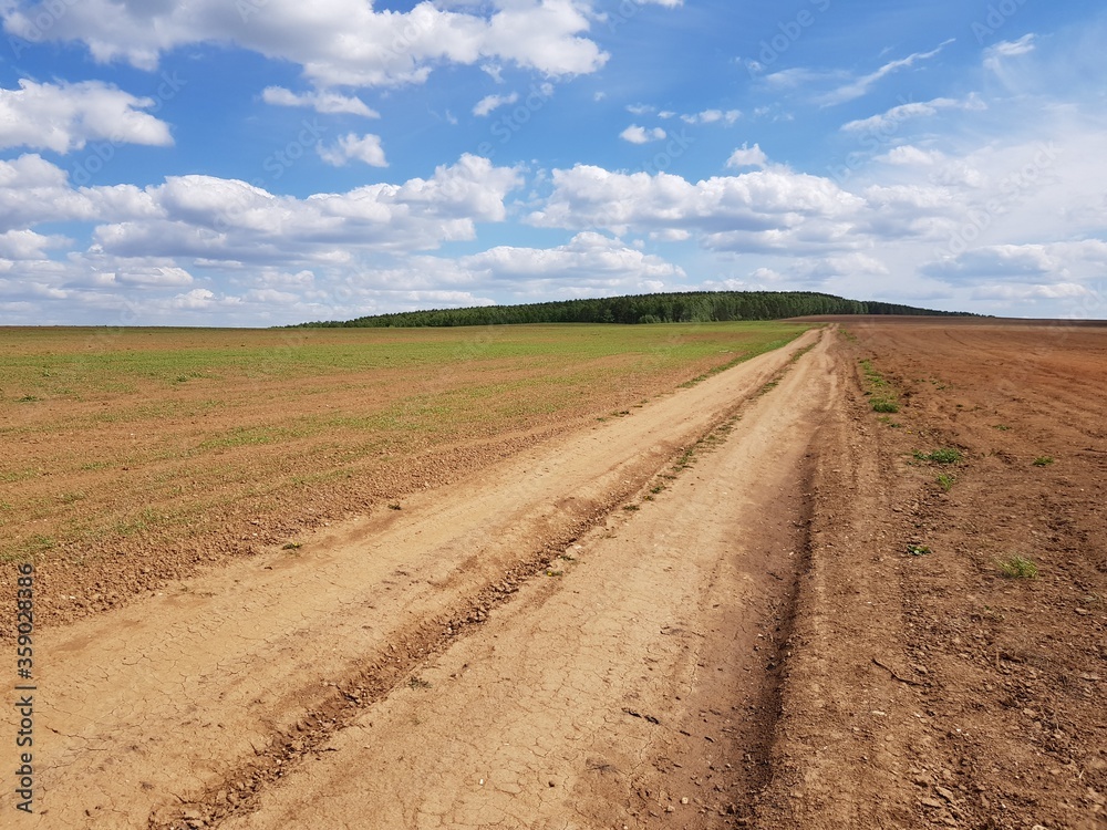 Country road in the steppe