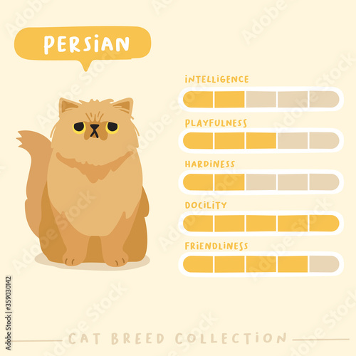Adorable cat breeds profile in flat style : Vector Illustration