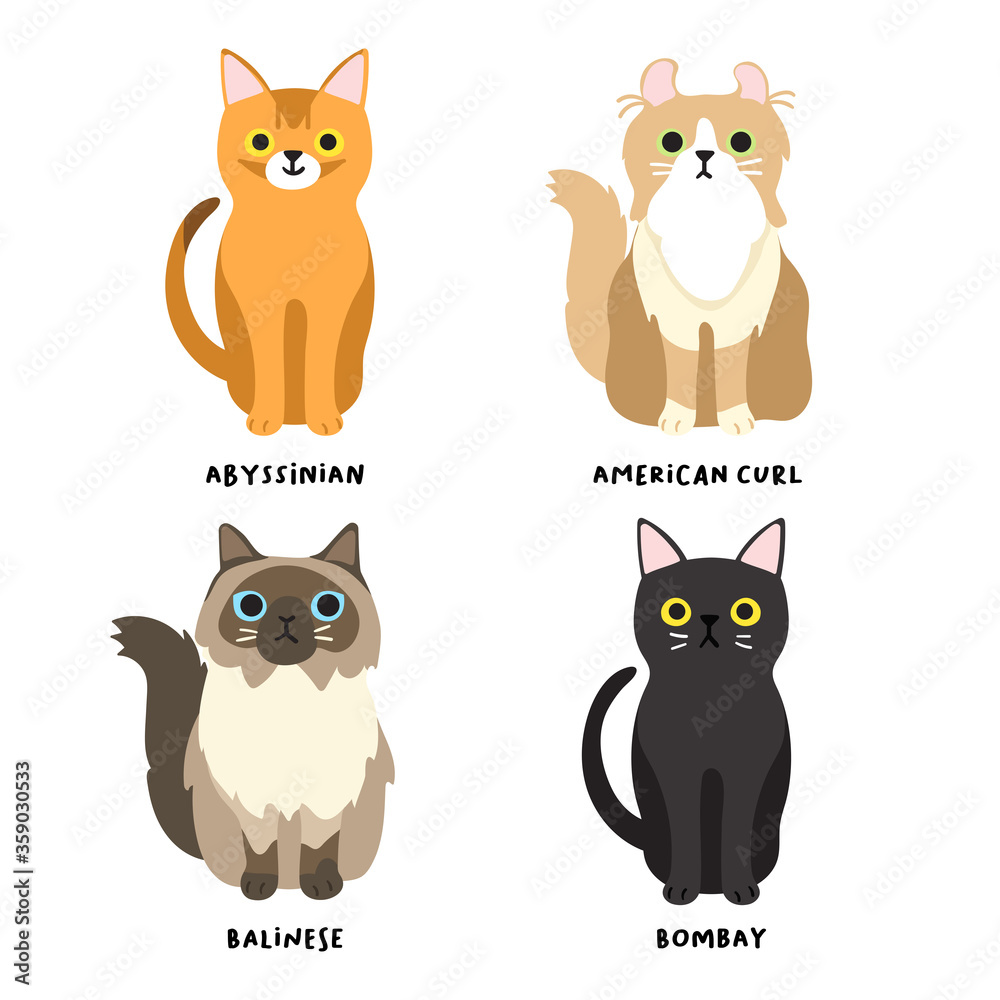 Set of adorable cat breeds in flat style : Vector Illustration Set of adorable cat breeds in flat style : Vector Illustration