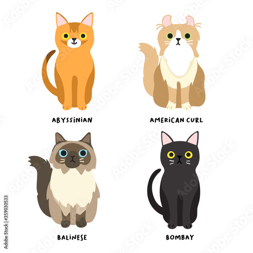 Set of adorable cat breeds in flat style : Vector Illustration