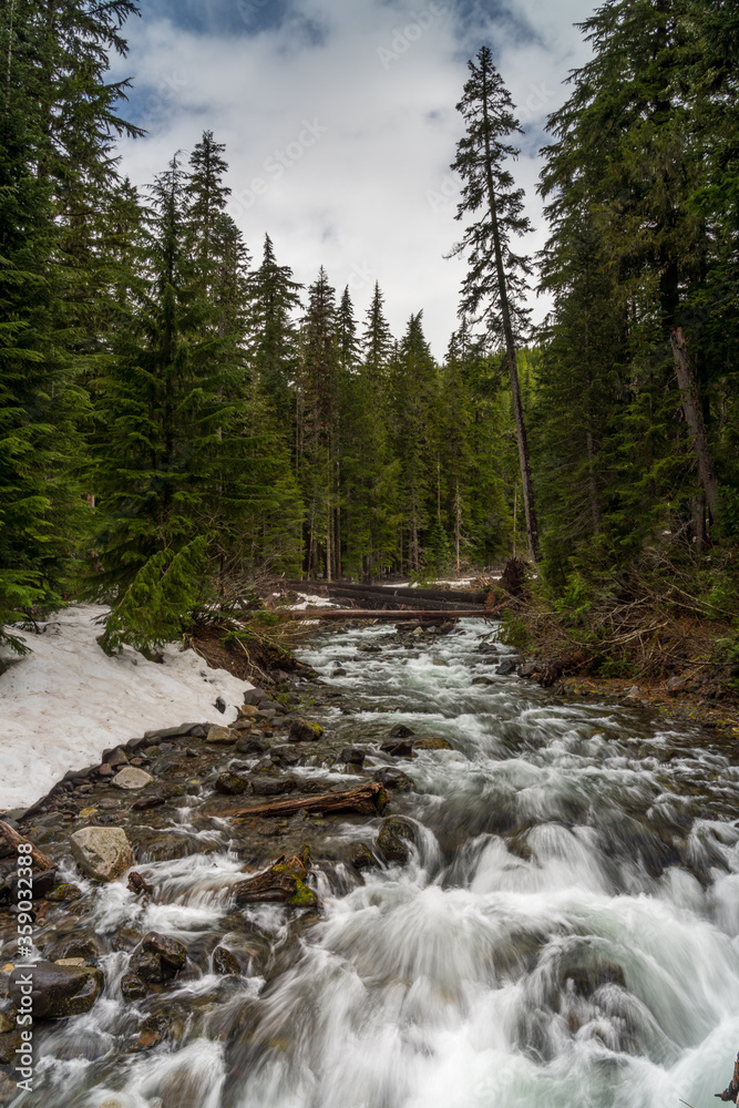 Paradise River At Nearby Paradise River Camp, Mount Rainier National Park Paradise River At Nearby Paradise River Camp, Mount Rainier National Park
