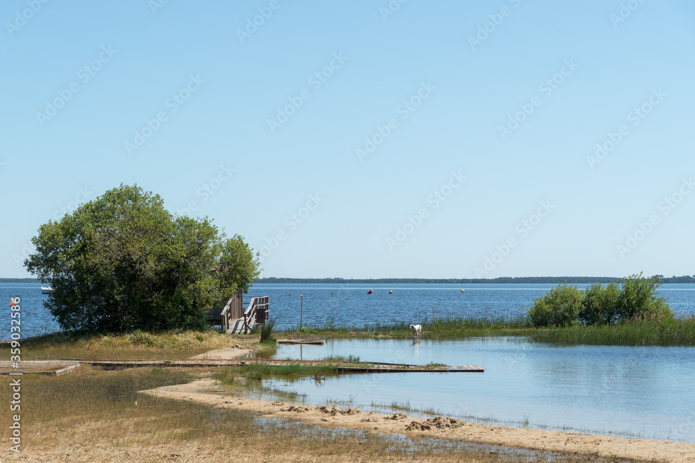 MAUBUISSON (Gironde, France), vue sur le lac MAUBUISSON (Gironde, France), vue sur le lac