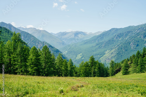 Beautiful view to green forest hills and mountain range with snow. Awesome minimalist alpine landscape of vast expanses. Wonderful vivid highland scenery with great mountains and forest. Scenic nature