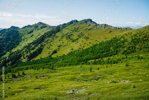 Green mountain scenery with vivid green mountainside with conifer forest and big crags under clear blue sky. Coniferous trees and big rocks on hillside. Scenic landscape with big stones on steep slope