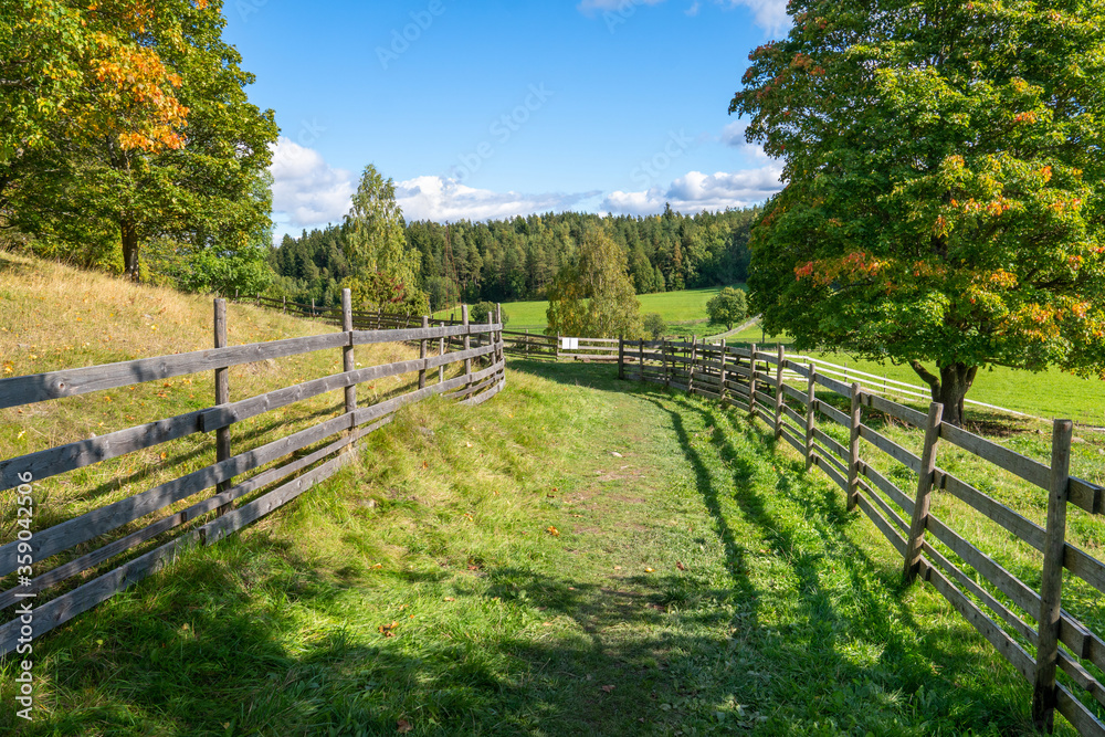 Early fall in the countryside. The sun is shining beautifully and the temperature is very pleasant. Early fall in the countryside. The sun is shining beautifully and the temperature is very pleasant.