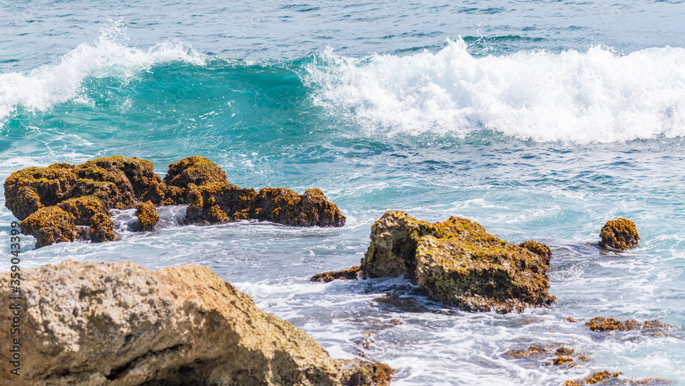 Vague déroulant avec de l'écume et des embruns et venant s'écraser sur les rochers de la côte un jour ensoleillé sur un spot de surf au Moule en Guadeloupe.