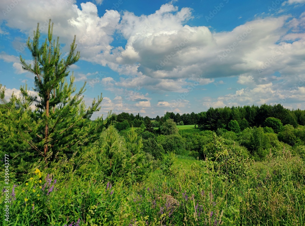 blue sky with beautiful clouds over a field with green trees and grass on a sunny hot day blue sky with beautiful clouds over a field with green trees and grass on a sunny hot day