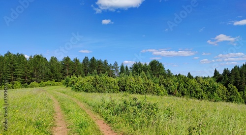 beautiful panoramic landscape in a field with a winding country road near a forest against a blue sky on a sunny day