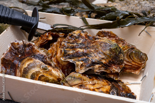 Fresh zeeuwse creuse pacific or japanese oysters molluscs on fish market in Netherlands