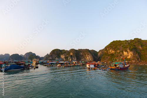 Fototapeta Naklejka Na Ścianę i Meble -  panorama of floating houses at Cat ba island at sunset, Vietnam
