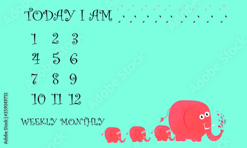 baby milestones blanket for baby shower