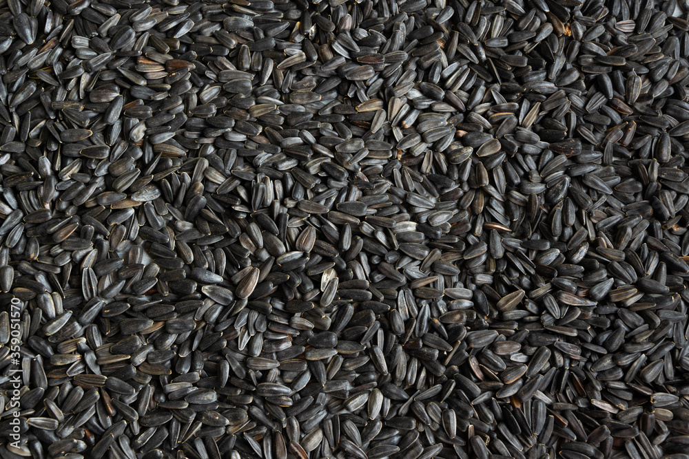 Close up view of sunflower seeds Close up view of sunflower seeds