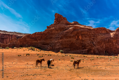 A view of horses grazing in Monument Valley tribal park in springtime
