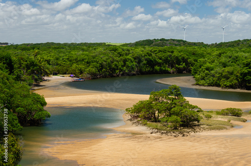 river and trees - Rio Camaratuba e sua vegetação litorânea - Barra de Camaratuba - Paraíba photo