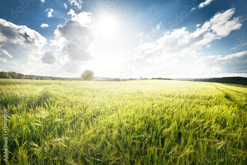 Quadro su tela Epic sunset sky above the green field