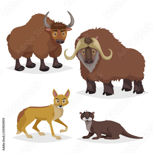 Cute cartoon North America and Europe animals set. Muskox, yak, otter and coyote. Vector drawings for kids. Isolated on white background. © Sketch Master